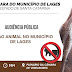 Audiência Pública vai debater a tração animal em Lages