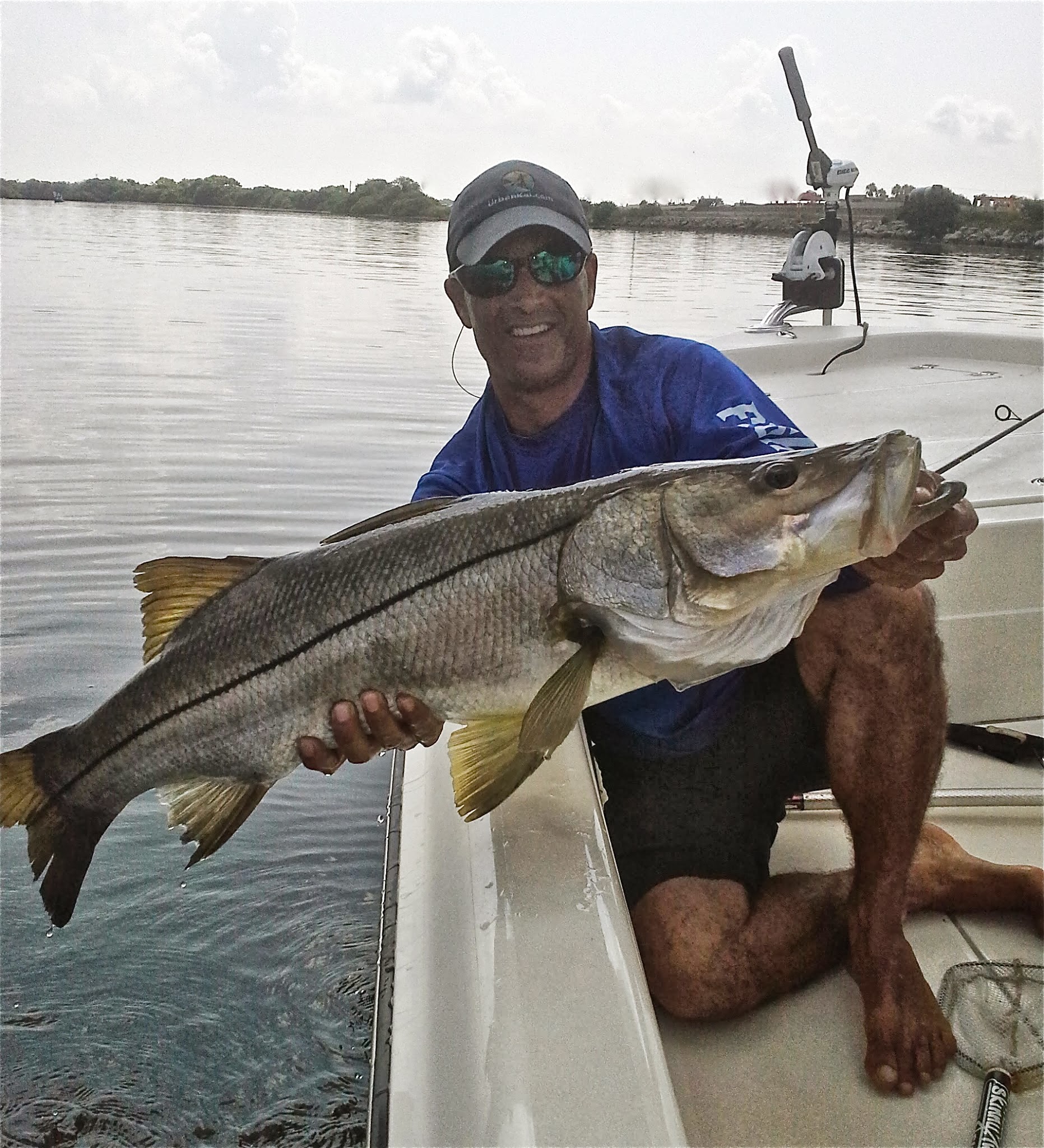 Heavy Snook