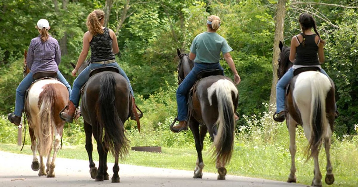 всадник на закате. Horse back view. Horse style. Horseback riding in switzerland. Horse and rider back view.