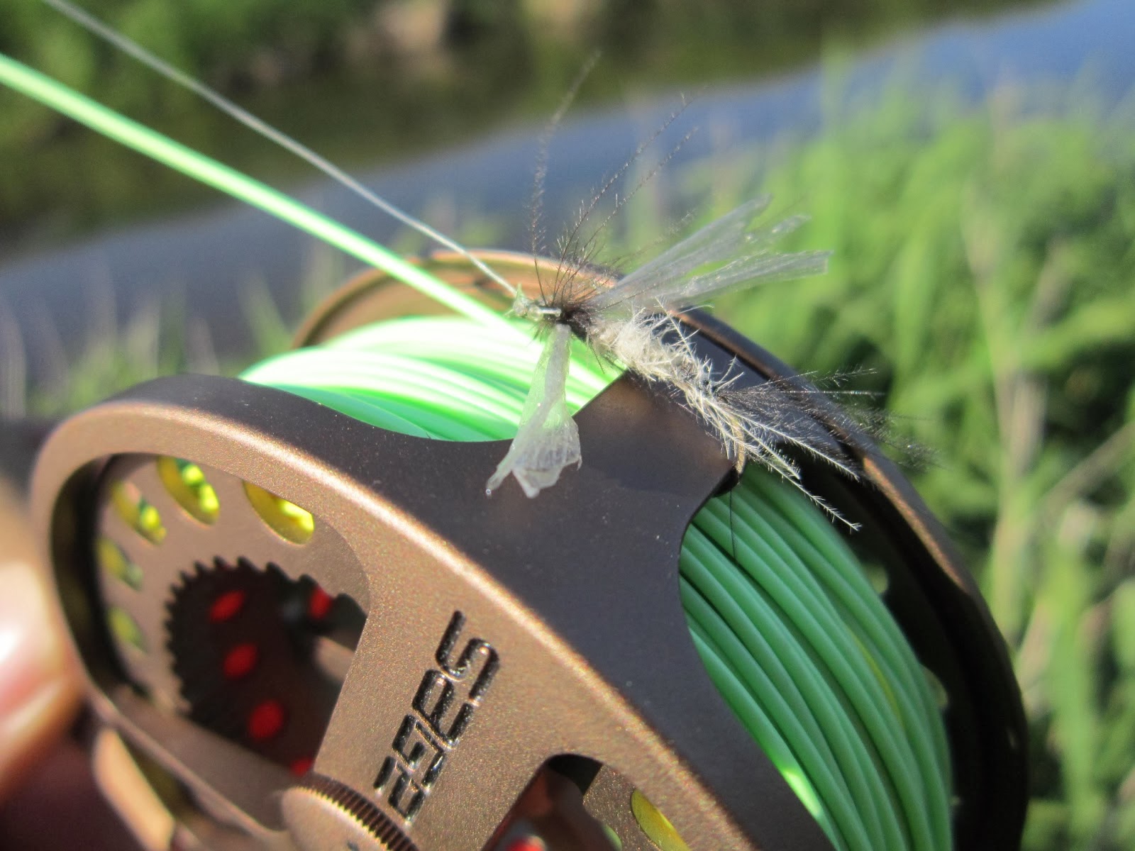 MEST OM FLUEFISKERI DRY FLY AND NYMPH ONLY
