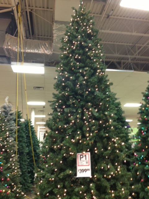 InsaneAboutChristmas Garden Ridge Christmas