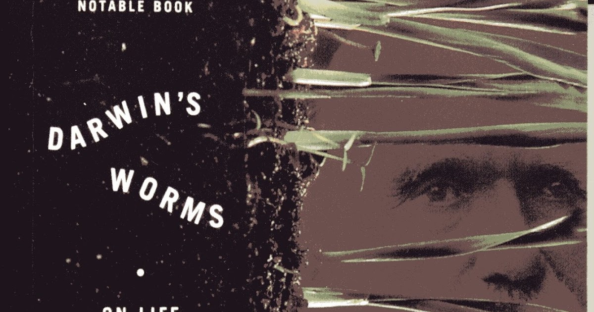 The 4th Kind of Madness Phillips Darwin's Worms