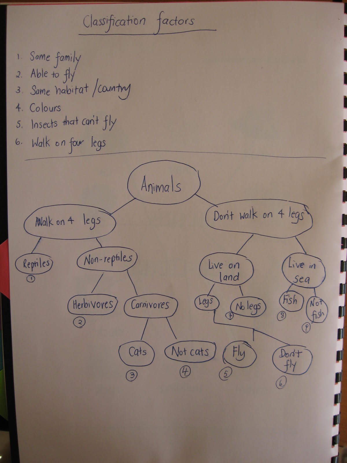 The Tiger Chronicle: Down the rabbit hole