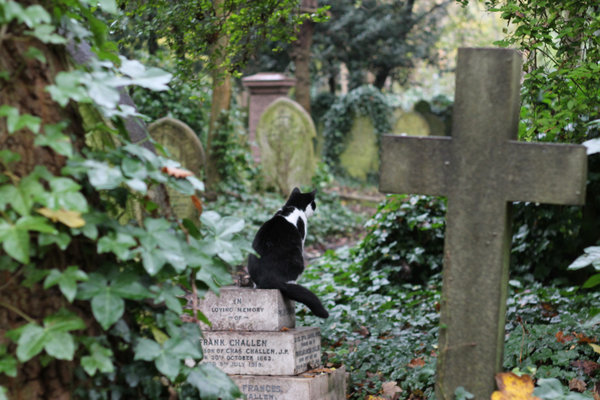 highgate cemetery london