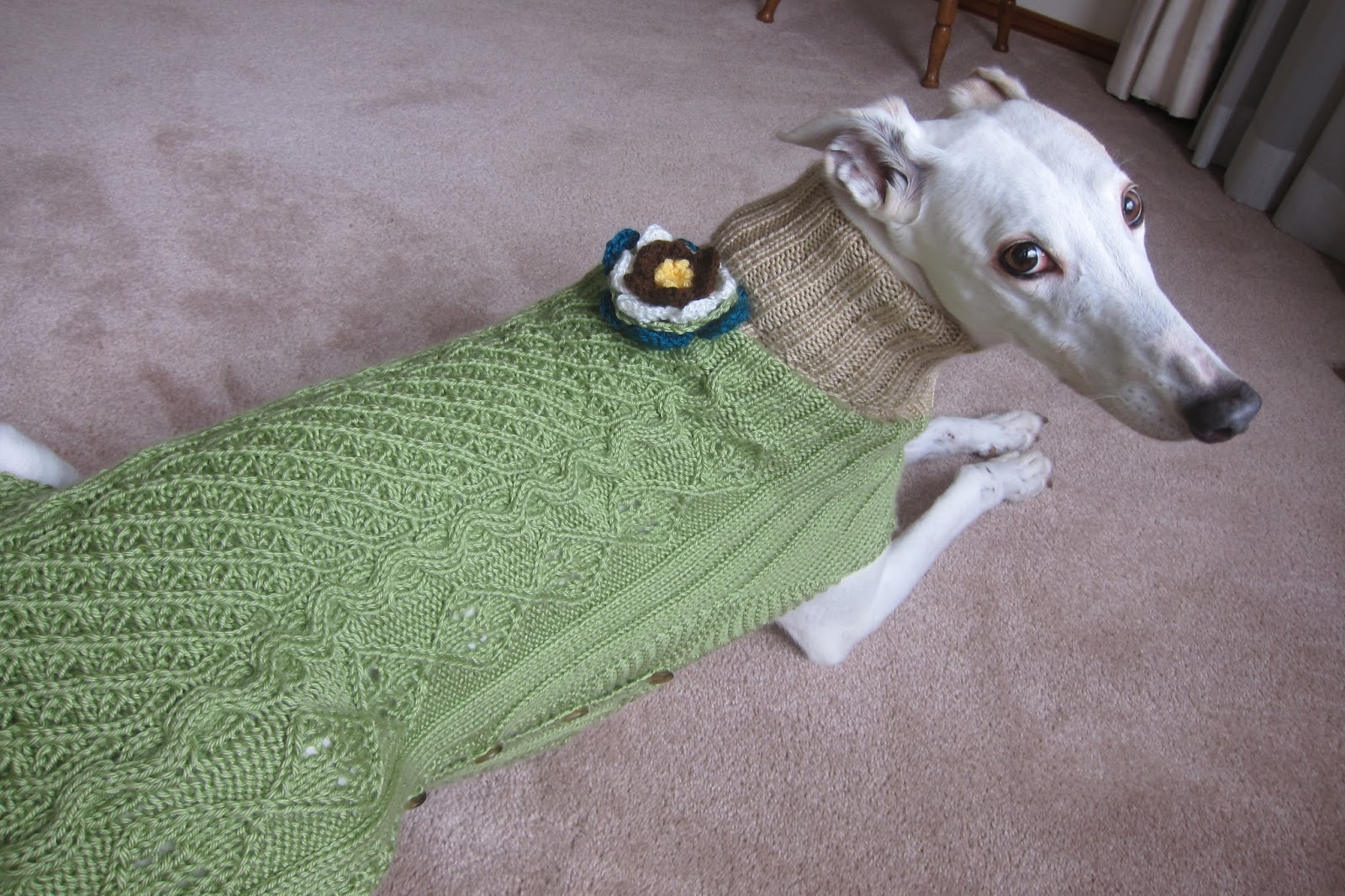 Greyhound Knit Sweaters Pistachio sweater for a girl dog