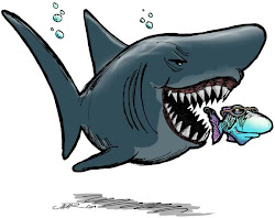 fish sharks shark hate politics