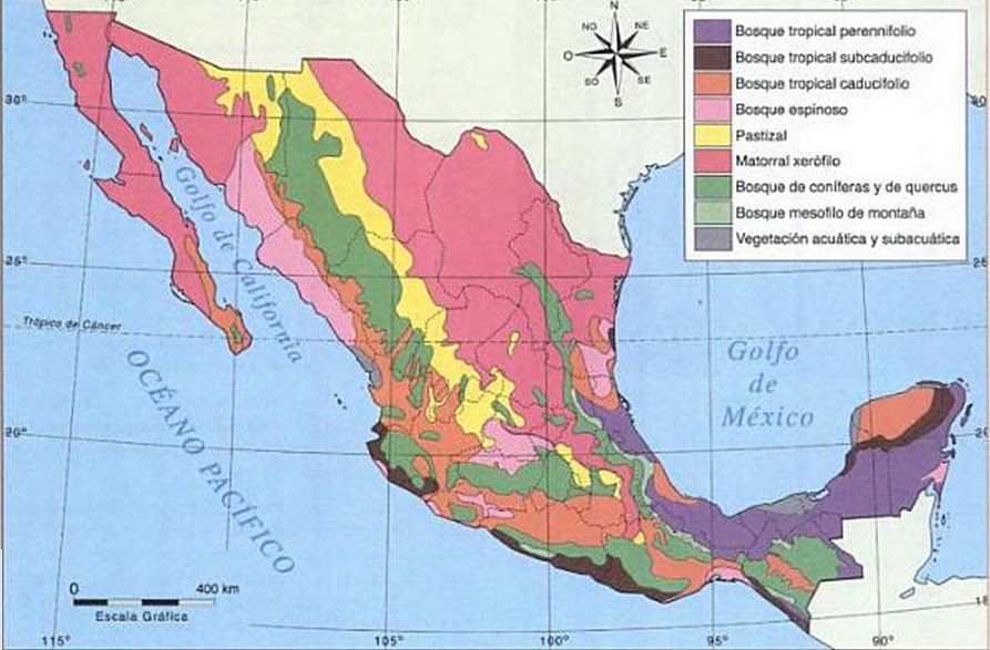Mapa De Los Ecosistemas De Mexico Tados Mapa De Los Ecosistemas De Mexico Tados