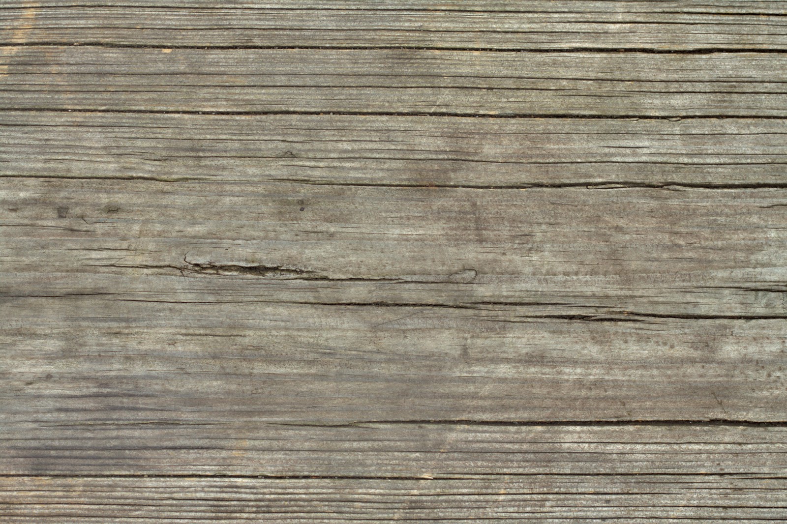 Wood dry cracked bench tree bark texture ver 4