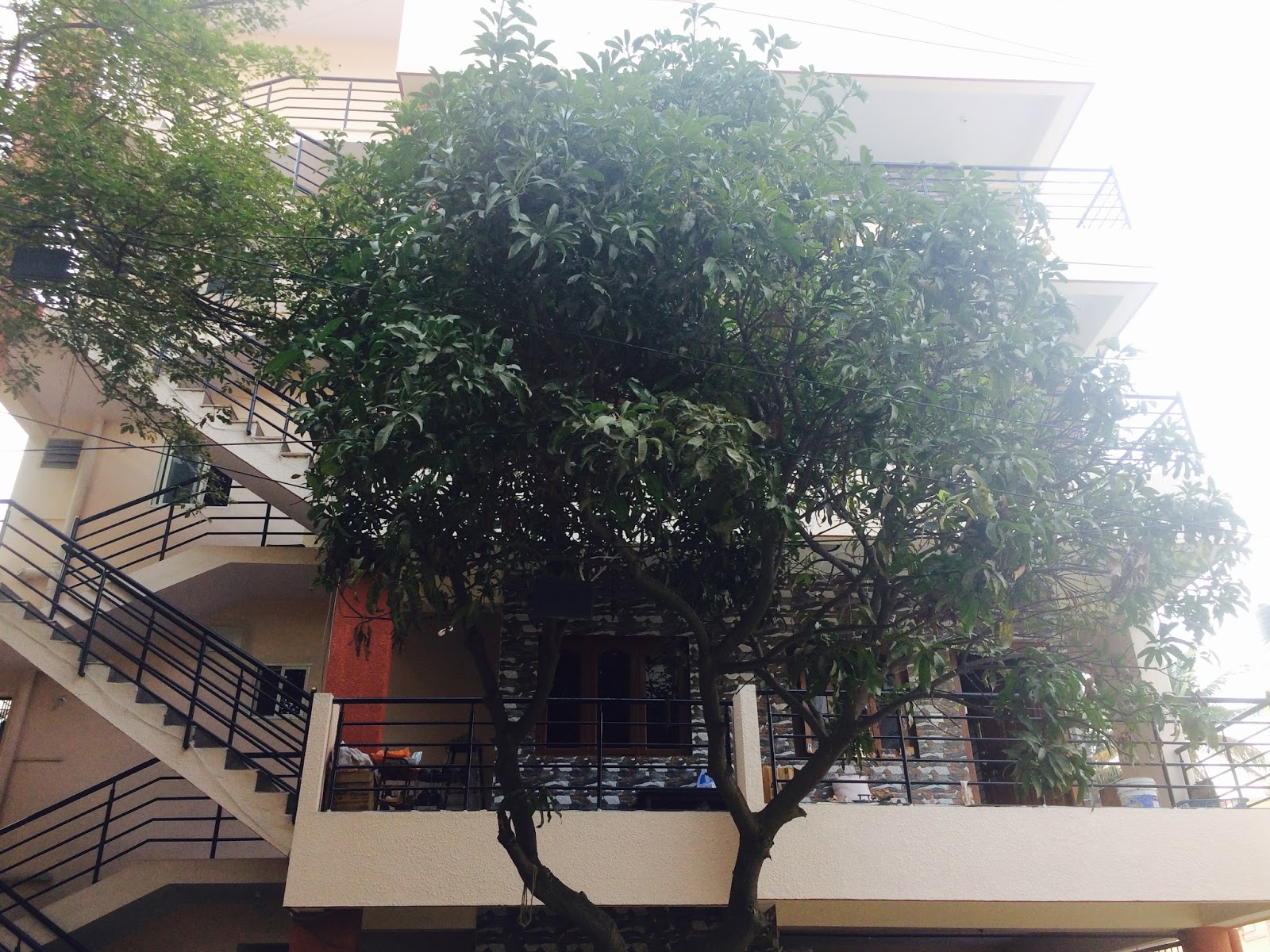 pg in bangalore, paying guest in bangalore, pgs in bangalore, pg near bangalore, luxury pg in bangalore, luxury pgs in bangalore, best pg in bangalore, executive pg in bangalore, posh pg in bangalore, mens pg in bangalore