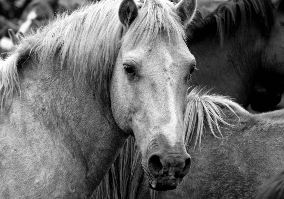 Fotografía creativa artística en blanco y negro por Munimara