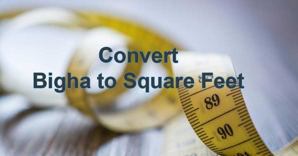 convert-1-bigha-to-square-feet-sq-ft-land-measurement
