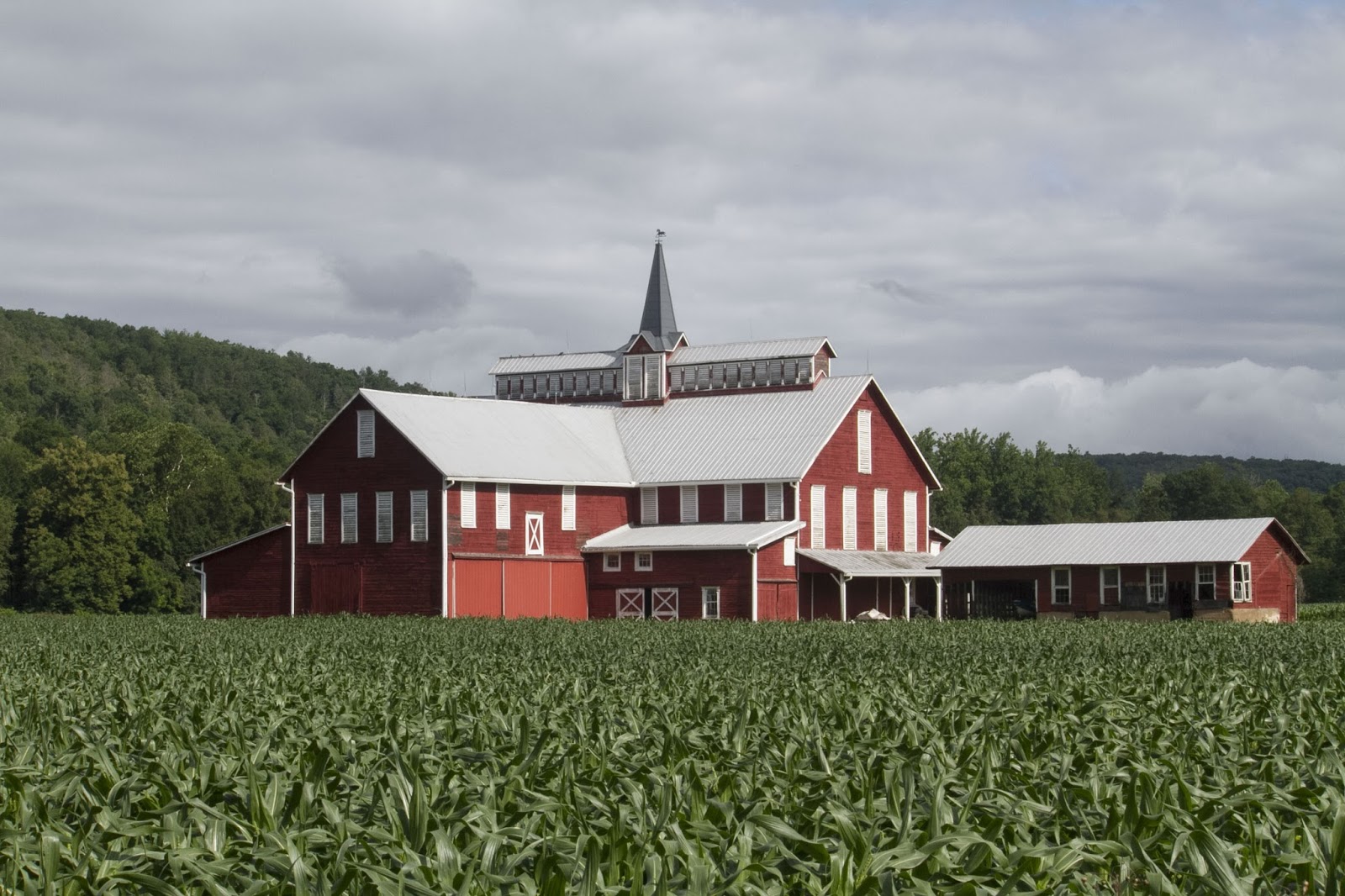 Beachgirl's Blog Benton, PA