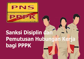 pppk non pns