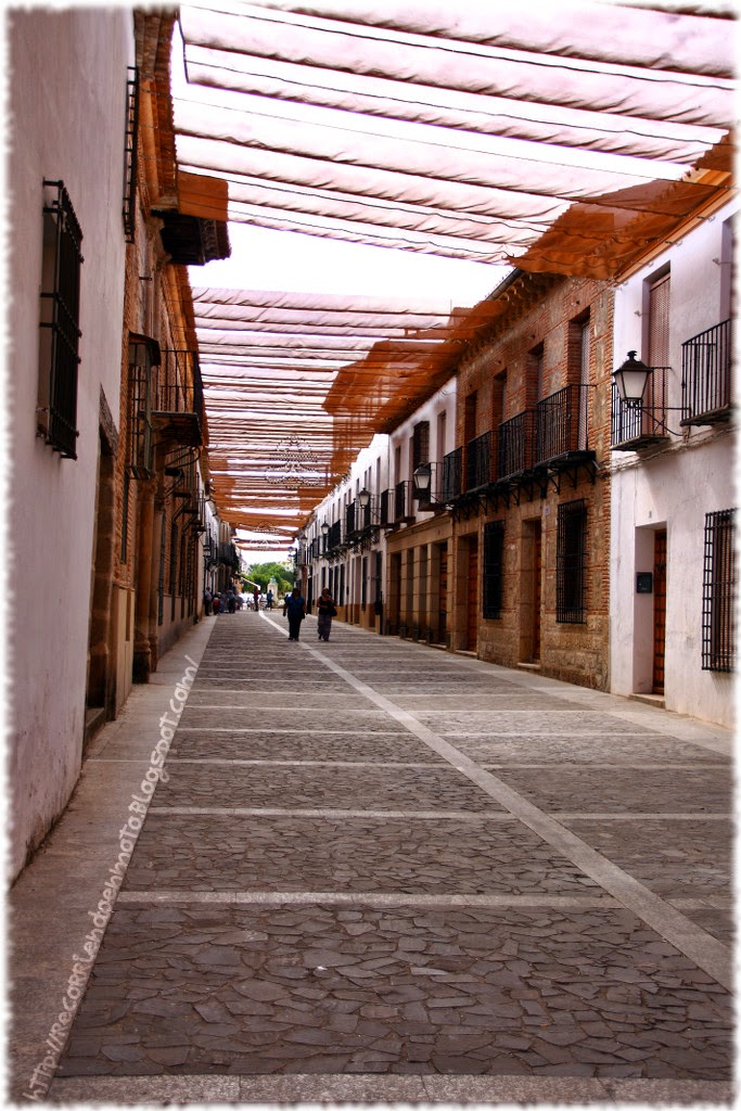 Calle Vva Infantes