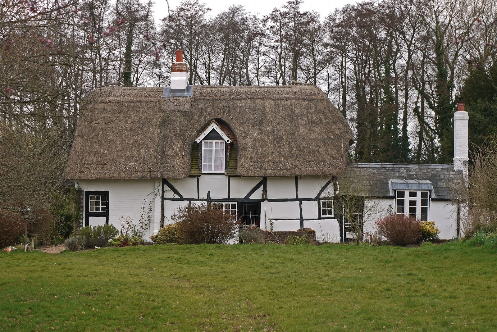 Walking in the country Hambledon to Ports Down (Wayfarer's Walk 16)