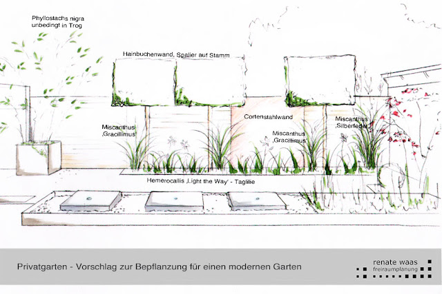 Sichtschutz im modernen Garten mit passender Bepflanzung als Schutz für den Gartenraum mit dem architektonischen Wasserbecken
