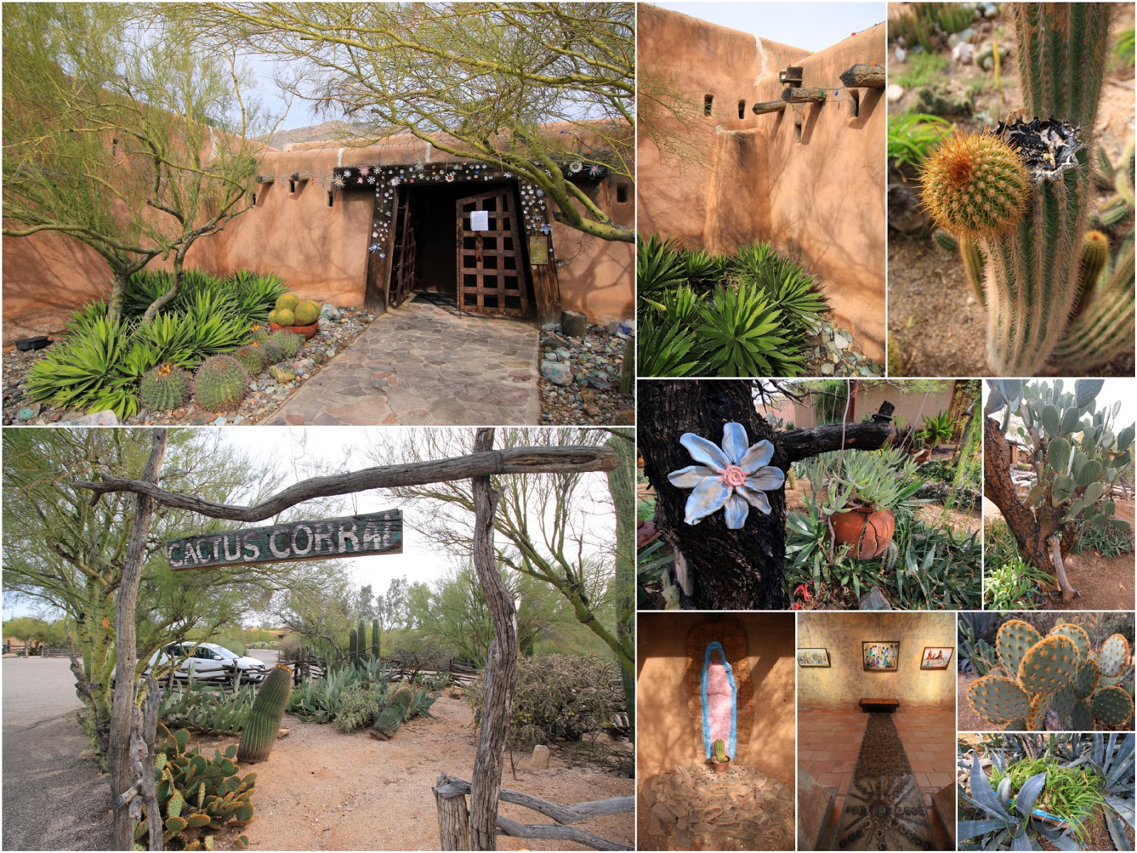 Arizona 2016 Day 2 Tucson Botanical Garden, DeGrazia Gallery in the Sun, and ArizonaSonora