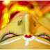 ভালোবাসা! যুবকের সুইসাইড নোট এখন পৃথিবীর দীর্ঘতম প্রেমপত্র