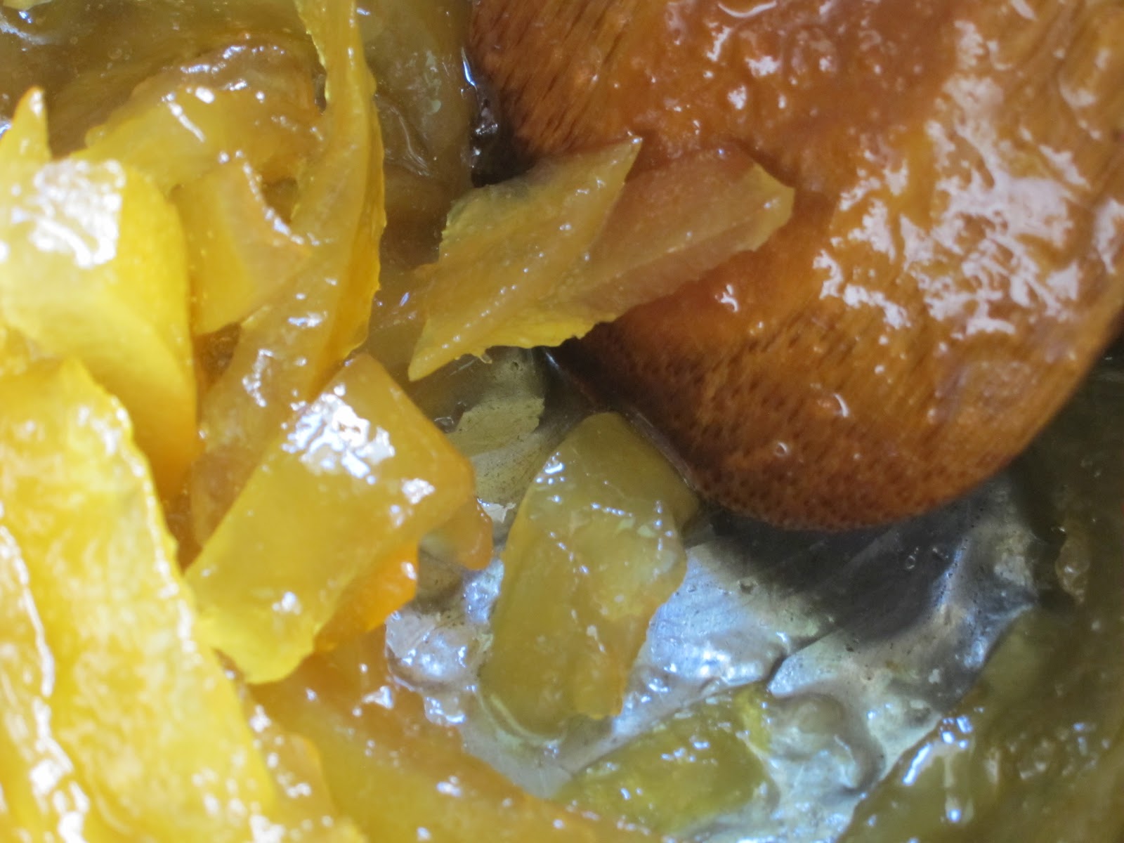 Candied Grapefruit Peel Root Simple