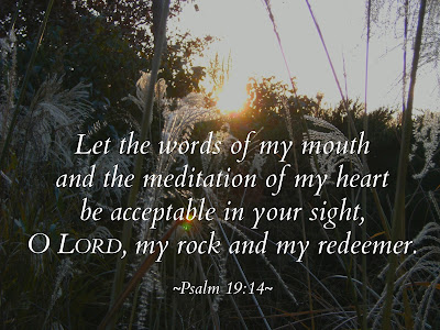 Let the words of my mouth and the meditation of my heart be acceptable in your sight, O Lord, my rock and my redeemer. Psalm 19:14