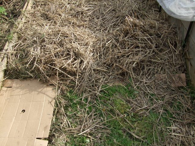 Living Simply - Living Well: Mid-Spring Garden Chores