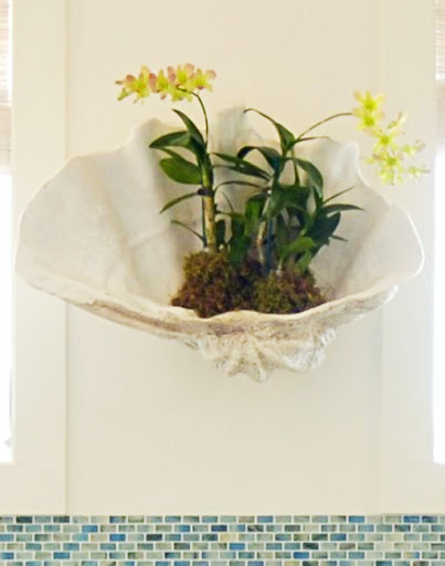 Clam Shell Decorating Ideas Wall Planter