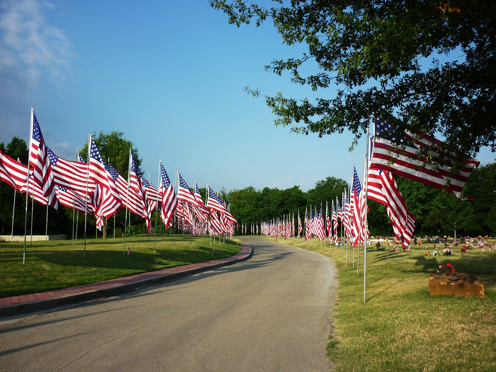 Ramblings from my treehouse