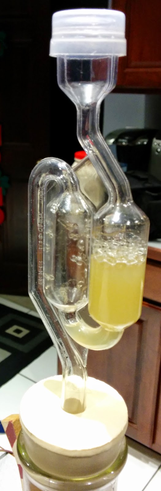 The Basics of Yeast Starters