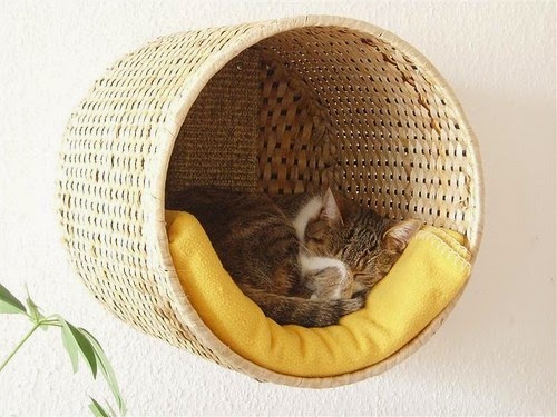 Fran And Friends DIY Cat Bed fran-and-friends-diy-cat-bed