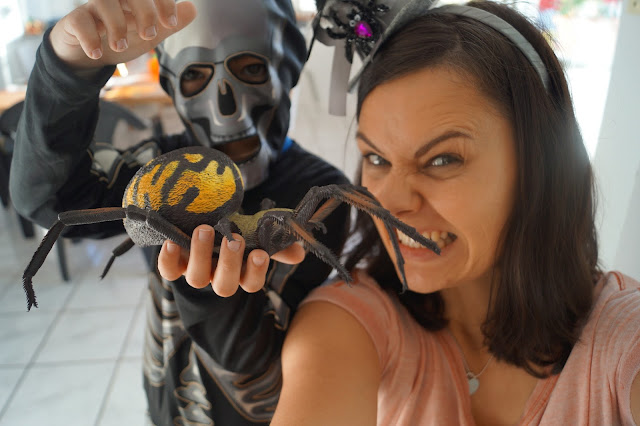 Halloween mit Kindern erleben