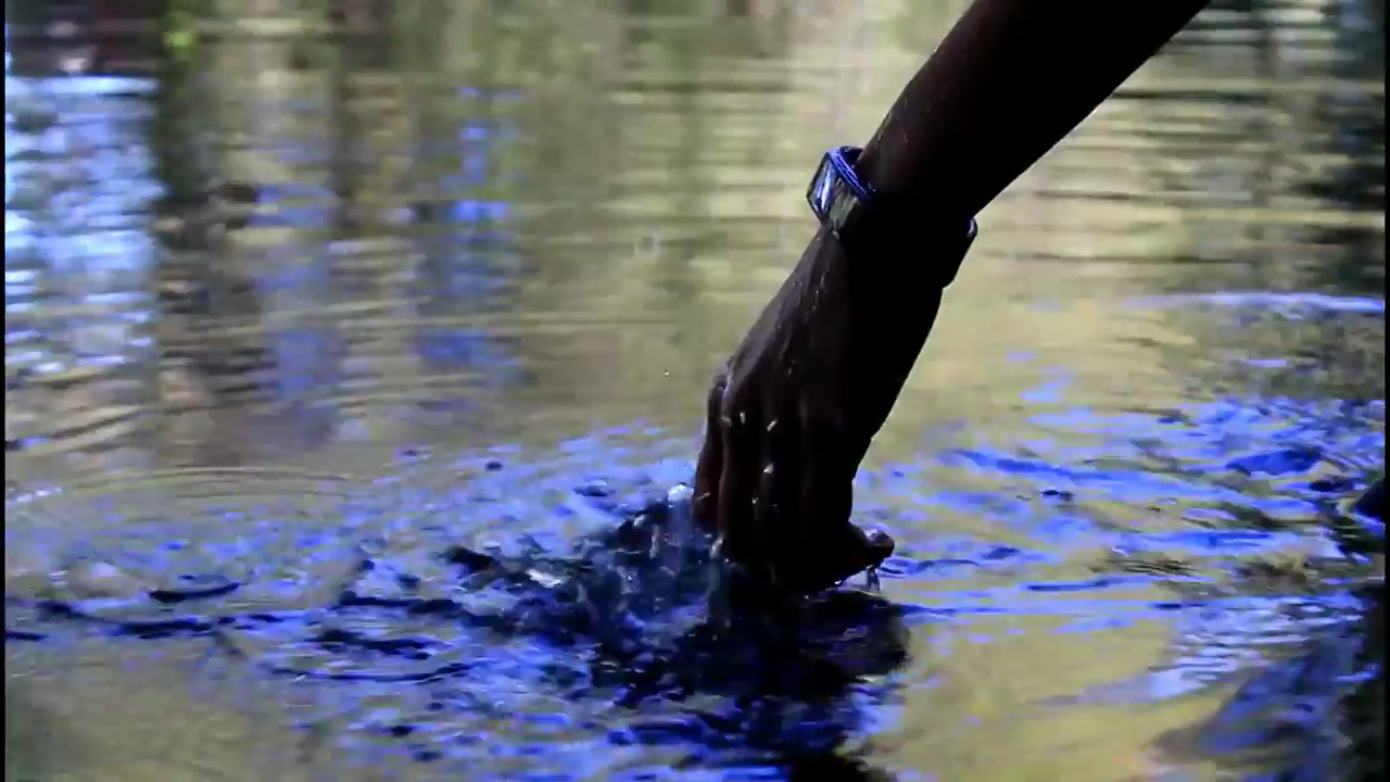 How does a sponge move water through its body nwmaio