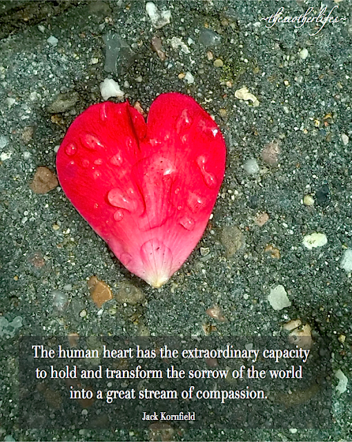 The human heart has the extraordinary capacity to hold and transform the sorrows of life into a great stream of compassion. - Ram Dass