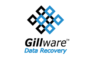 3. Gillware Inc. 3. Gillware Inc.