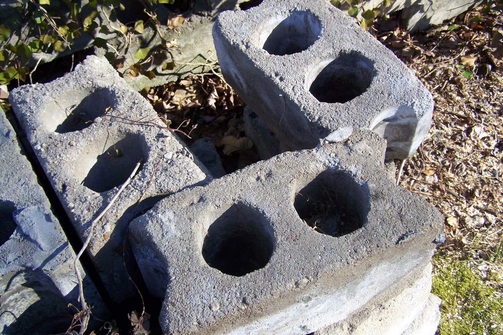 Glenlochan: Vintage Concrete Blocks?