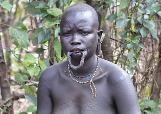 Beauty of the Surma African Tribe Lip Plate People of Africa