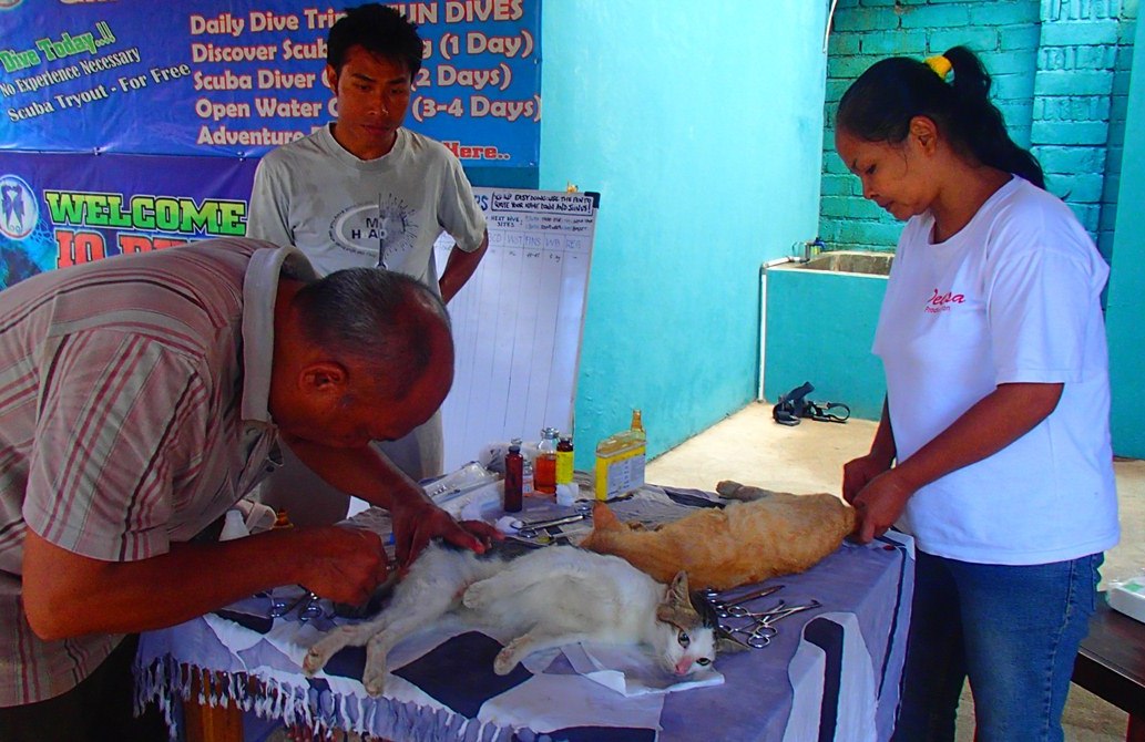 Iso musta Dicks porns