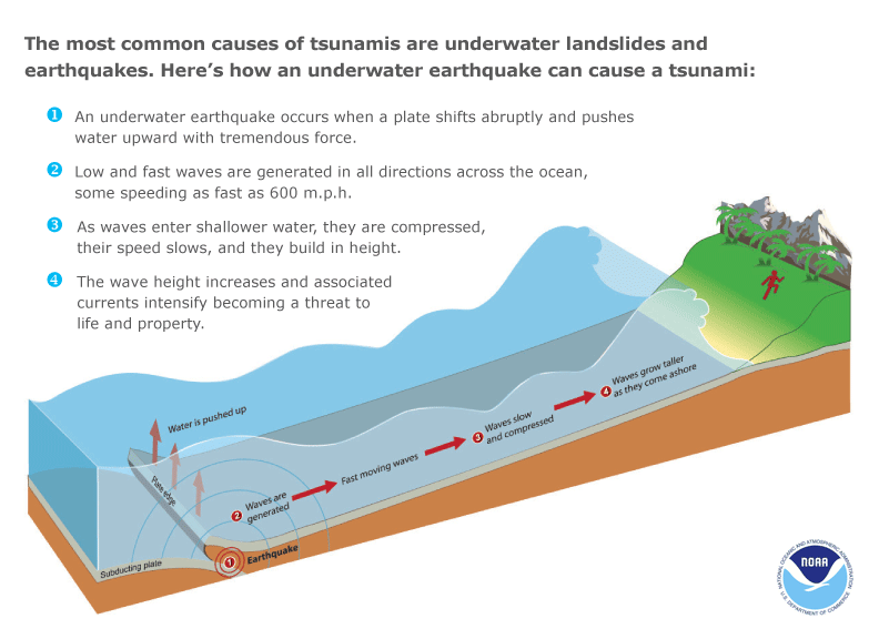 Sejarah Terbentuknya Tsunami | Viranisa Amalia's Blog!