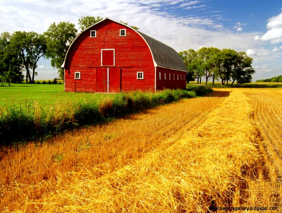 Wallpapers Barns Red Barn Manitoba Canada 1024x768  257179 barns