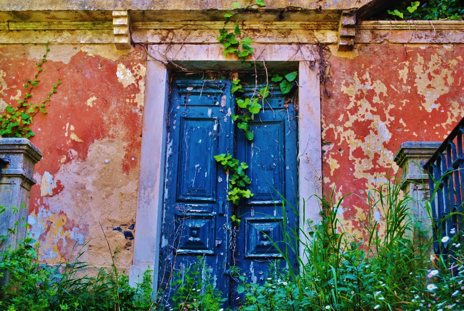 . passaros de gesso . | The Braganza Mothers