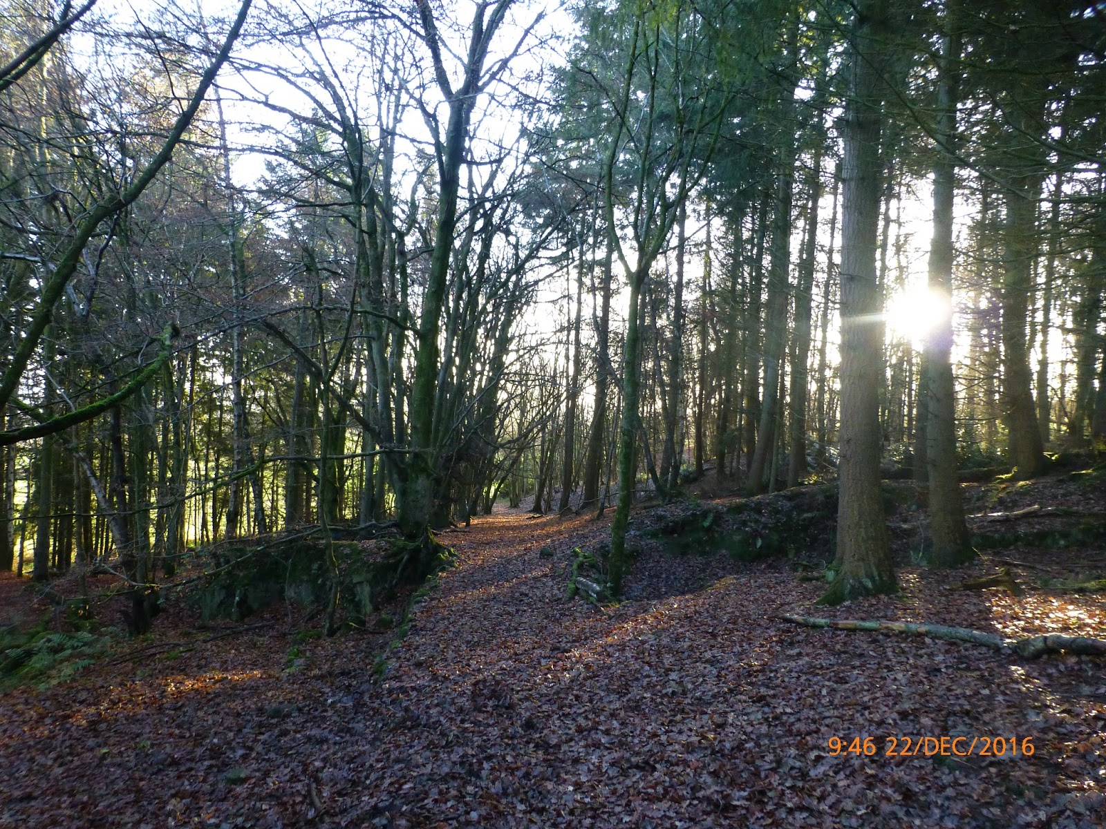 Harris Hikers Halkyn, Limestone, Lead and Four Quarries 22nd December 2016