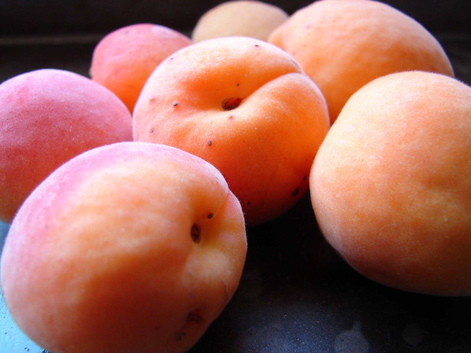 New Utah Gardener Summer Apricots Abundant In Utah!