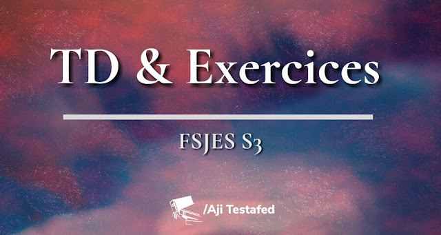 TD & Exercices S3 FSJES
