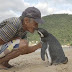 Heartwarming Story of a Penguin Who Swims 5,000 Miles Every Year to See the Man Who Rescued Him