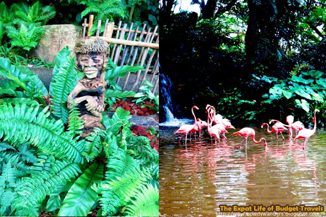 bowdywanders.com Singapore Travel Blog Philippines Photo :: Singapore :: Jurong Bird Park – Where Color Lives
