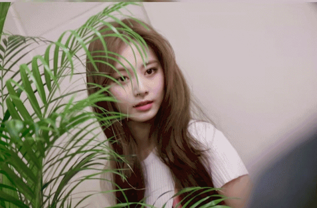 FANCY 티저 *하이라이트 메들리* 다현,채영,쯔위,단체 (多)