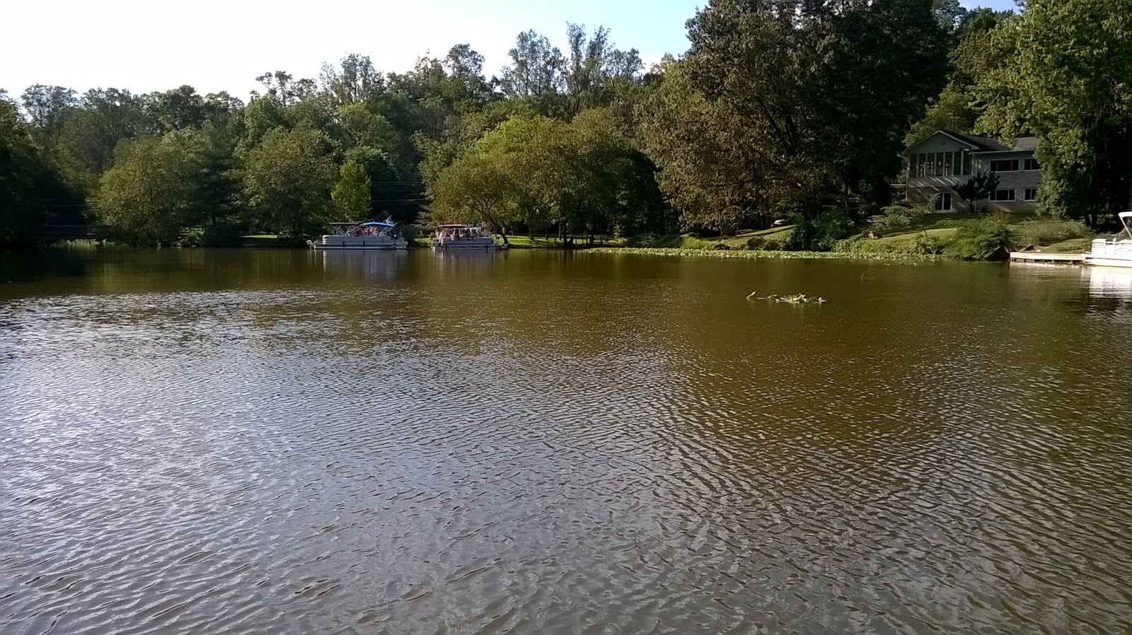 Mindenütt jóóó Amerikai álom(?) X. Lake Barcroft Falls Church