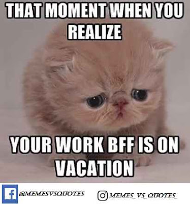 funny memes about work Vocational meme