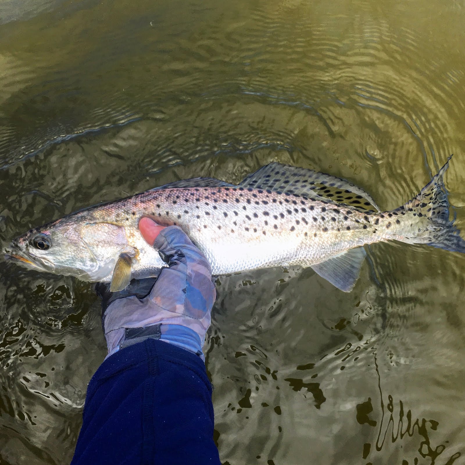 The Hobie Life CCA Maryland Red Trout Tournament 2016