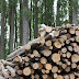 Doorgronden van mislukte katalysatoren voor duurzame omzetting biomassa