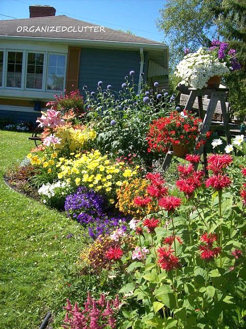 Photo of front yard junk garden border with a stepladder